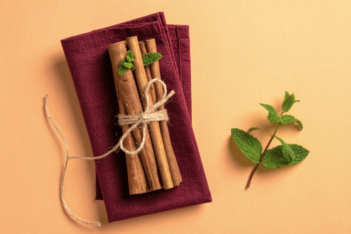 Cinnamon sticks on pastel orange background with burgundy linen – Ayurvedic kitchen herb for digestion.