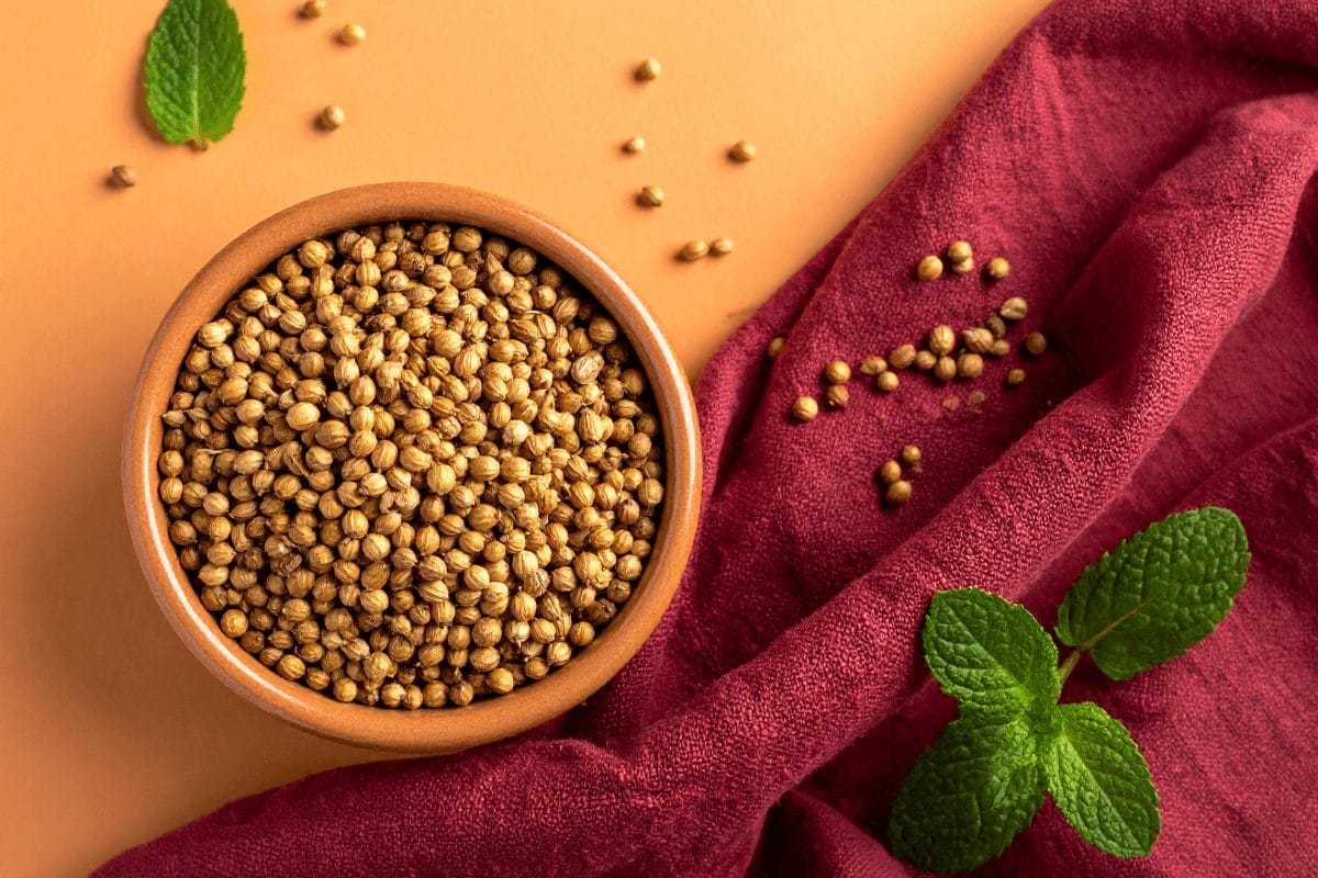 Golden coriander seeds in rustic bowl with pastel orange and burgundy napkin – Ayurvedic digestive herb.