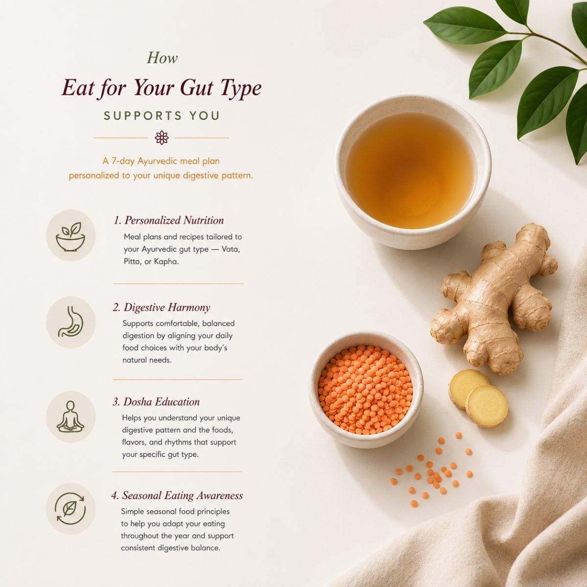 Eat for Your Gut Type - Image 3
